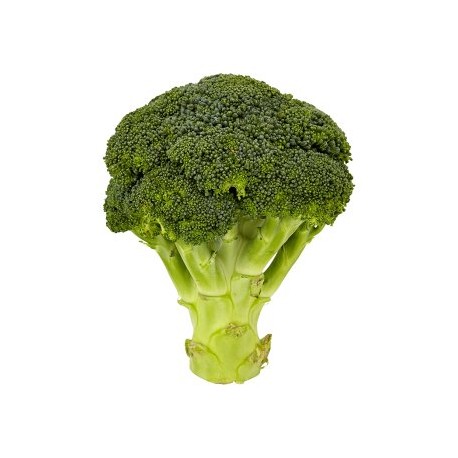 Brokolice 