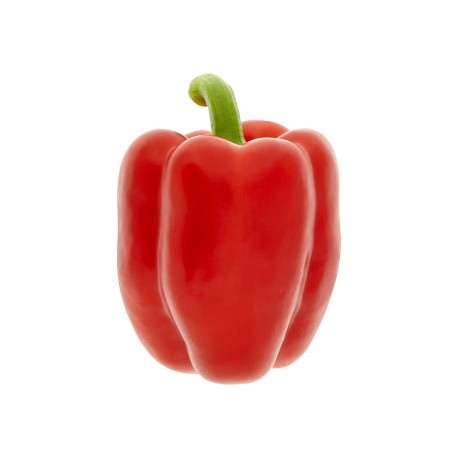 Paprika červená kg