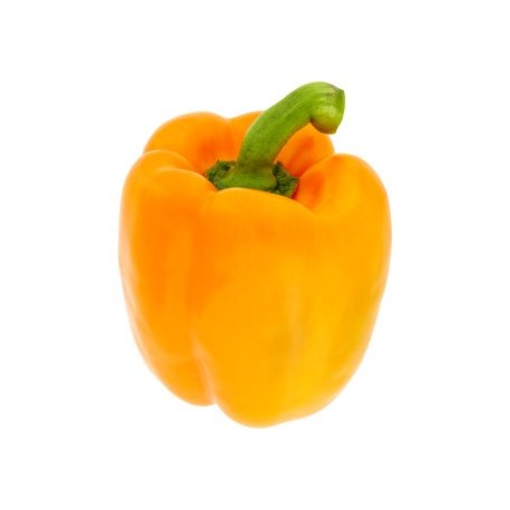  Paprika oranžová kg