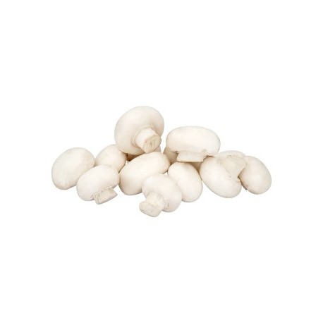 Žampion zahradní 1kg